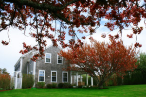 "A Thousand Ships" Nantucket Landscaping II