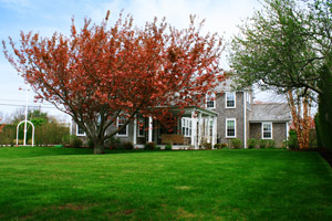 "A Thousand Ships" Nantucket Landscaping III