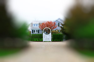 Nantucket Landscaping I