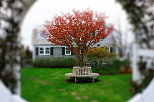 Nantucket Landscaping II