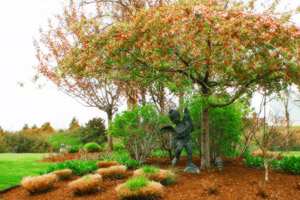 Nantucket Landscaping IV